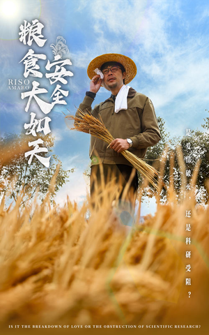 《粮食安全大如天》（43集）畅享短剧全集别错过