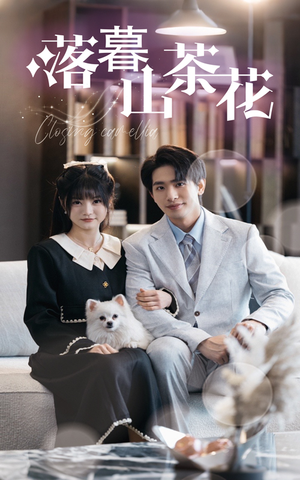 《落幕山茶花》（50集）免费短剧在线畅快追剧