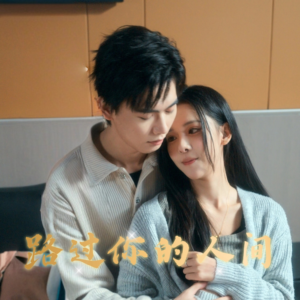 《路过你的人间》（31集）畅享短剧全集免费看