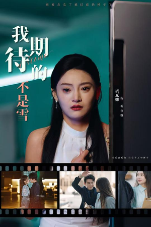 《我期待的不是雪》（30集）速来追短剧精彩剧情
