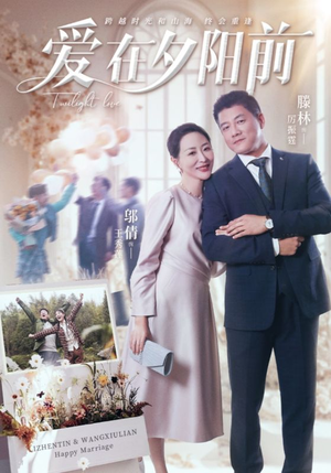 《爱在夕阳前》（41集）短剧免费看全集超带感