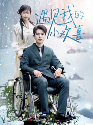 《遇见我的小欢喜》（70集）免费看短剧全集不间断