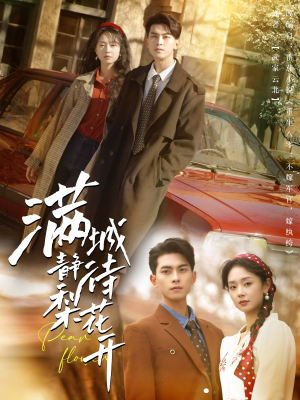 《满城静待梨花开》（100集）免费畅看短剧全集版