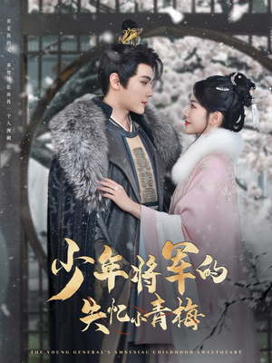 《少年将军的失忆小青梅》（100集）免费短剧全集马上看