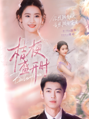 《她的小桔梗》（92集）免费在线短剧看个够