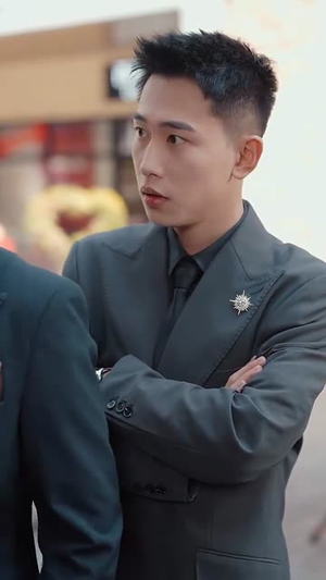 《且把爱意寄流光》（100集）畅享短剧精彩一看到底