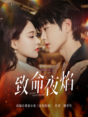 致命夜焰(80集) 致命夜焰(80集)好看短剧看不停