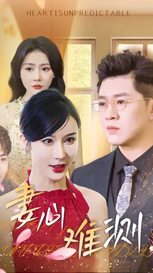 《妻心难测》（33集）短剧免费看不停歇