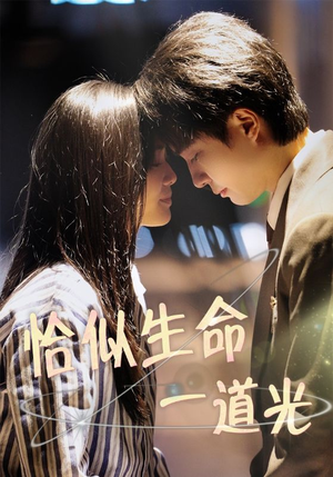 《恰似生命一道光》（60集）短剧精彩剧情在线速看