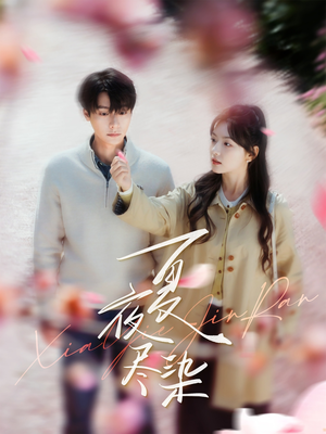 《夏夜尽染》（80集）精彩短剧在线全集看