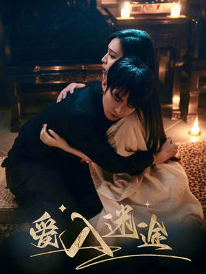 爱入迷途(67集) 爱入迷途(67集)热门短剧推荐