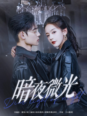 《暗夜微光》（86集）爆款短剧免费在线追全集