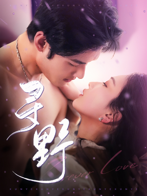 《寻野》（100集）短剧免费全集尽情追