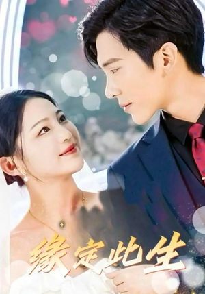 《缘定此生》（87集）一口气追完短剧盛宴