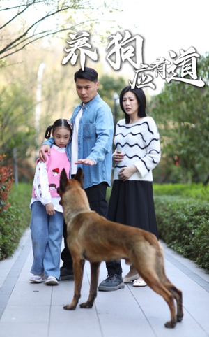 《养狗应有道》（60集）看短剧精彩全程不落