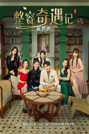 《整容奇遇记》（80集）短剧免费畅享一追到底