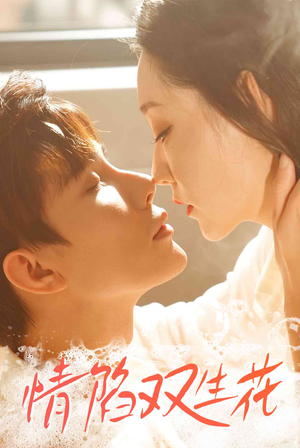 《情陷双生花》（30集）畅享短剧精彩不停歇