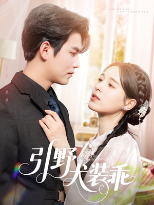 《引野犬装乖》（61集）免费短剧在线看不停