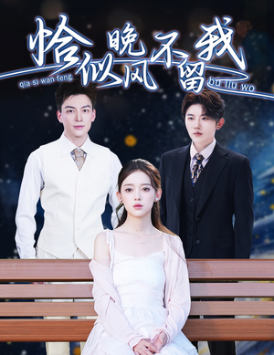 《弃他如风》（51集）全集短剧免费在线开追