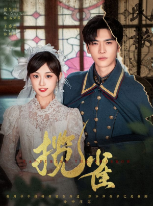 《揽雀》（61集）短剧在线免费全集赏