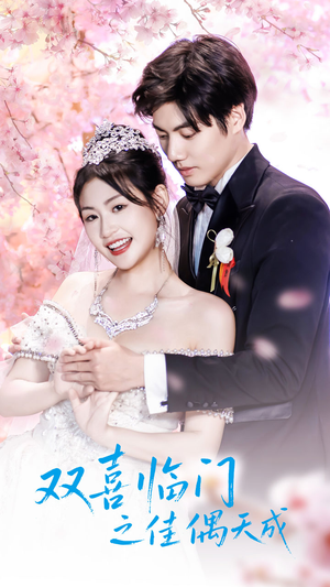 《双喜临门之佳偶天成》（42集）在线短剧免费看不停