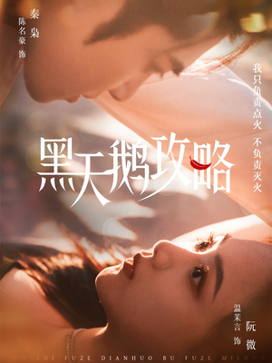 《黑天鹅攻略》（65集）爆款短剧免费全集追