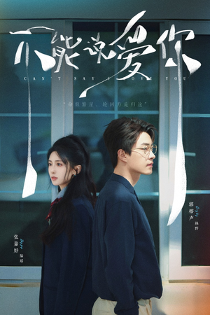 《不能说爱你》（64集）短剧在线畅享全集观看