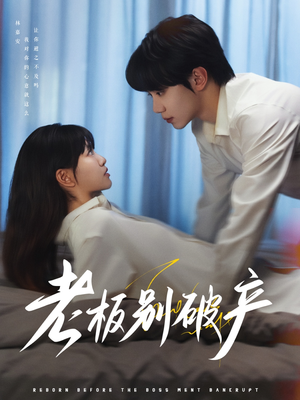 《老板别破产》（72集）免费看短剧完整版