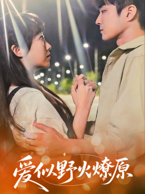 《爱似野火燎原》（47集）免费短剧全集畅快看