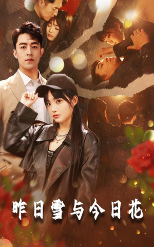 《昨日雪与今日花》（81集）在线追短剧一看到底