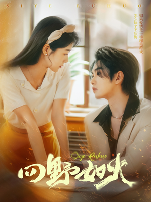 《四野如火》（79集）精彩短剧免费全集追看