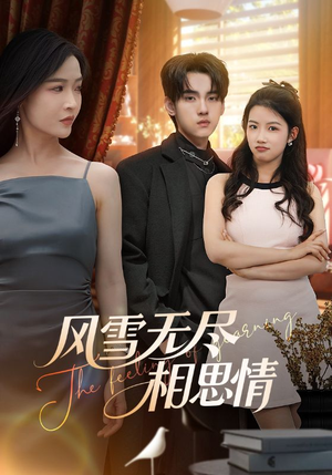 《风雪无尽相思情》（61集）短剧佳作在线尽情看