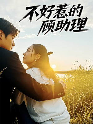 《不好惹的顾助理》（67集）短剧免费全集畅快追