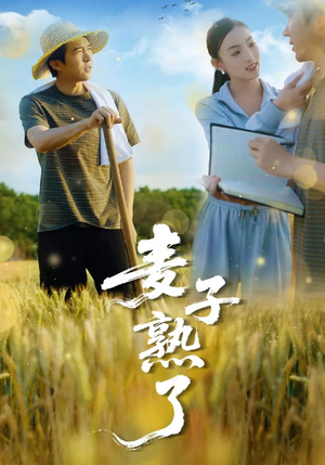 《麦子熟了》（52集）看短剧全集欢乐不停