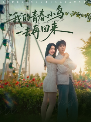 《我的青春小鸟一去再回来》（95集）畅享短剧全集观看