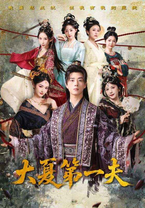 《大夏第一夫》（90集）免费畅享短剧在线看全集