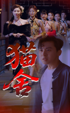 猫舍(34集) 猫舍(34集)短剧在线看