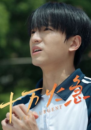 《十万火急》（30集）在线看短剧全集过瘾