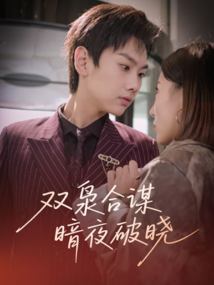 《双枭合谋暗夜破晓》（30集）免费短剧在线全集追