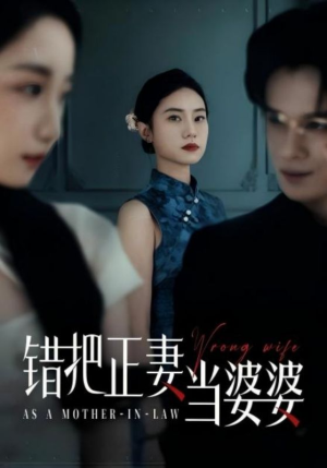 《错把正妻当婆婆》（46集）免费短剧全集一网打尽