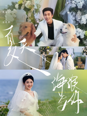 《夏天，海浪与你》（76集）免费看短剧全集不停歇