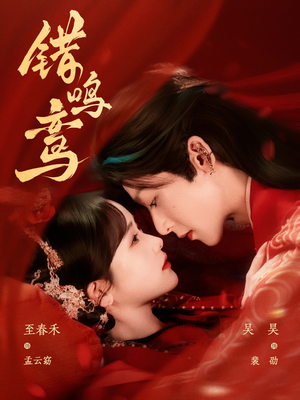 《错鸣鸾》（75集）追短剧全集免费欢乐多