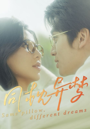 《同枕异梦》（50集）热门短剧全集在线免费看