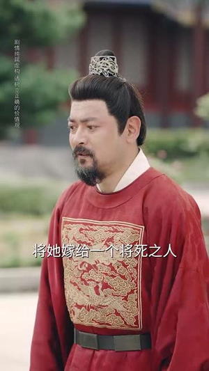 雪落又逢君(78集) 雪落又逢君(78集)评价怎么样