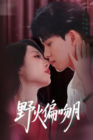 《野火偏吻月》（51集）精彩短剧免费在线追