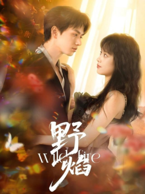 《野焰》（60集）免费短剧在线看超尽兴