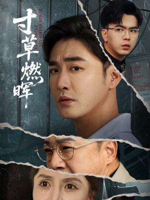 《寸草燃晖》（70集）短剧完整版免费在线看