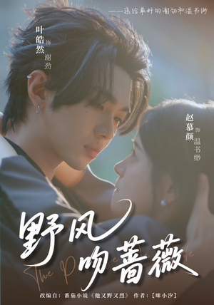 野风吻蔷薇（78集）看到了大结局