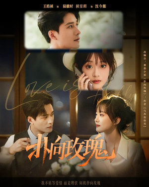 《扑向玫瑰》（77集）短剧精彩一集不落追看