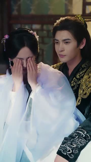 《扶风入雾》（81集）短剧精彩剧情免费追看